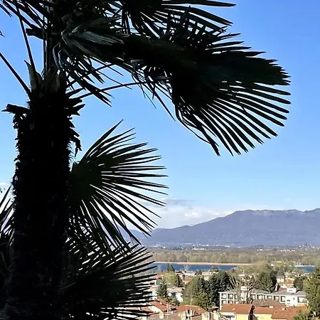 View In Apartment