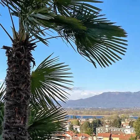 View In Arona