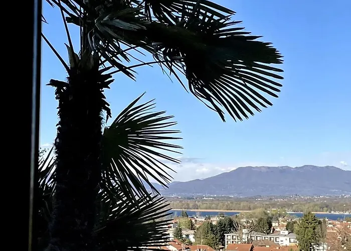 View In Apartment