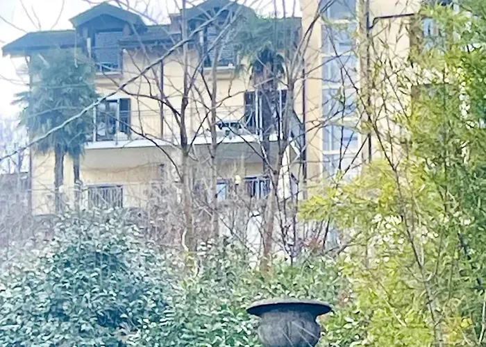 View In *